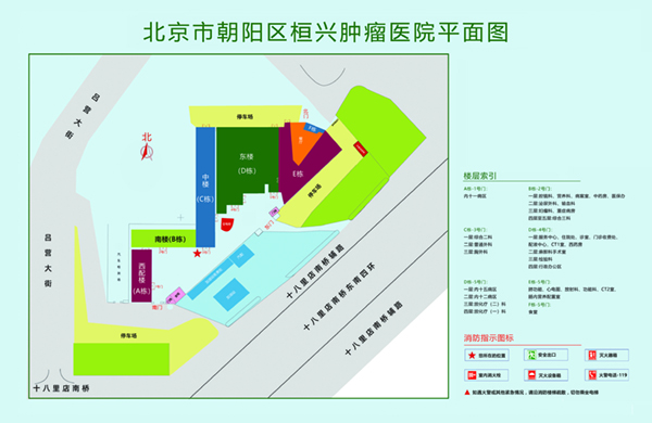 黄色电影网站肏逼大鸡巴北京市朝阳区桓兴肿瘤医院平面图